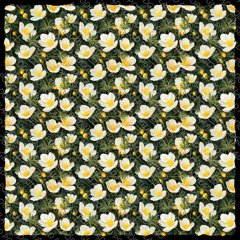 Buttercup Flower